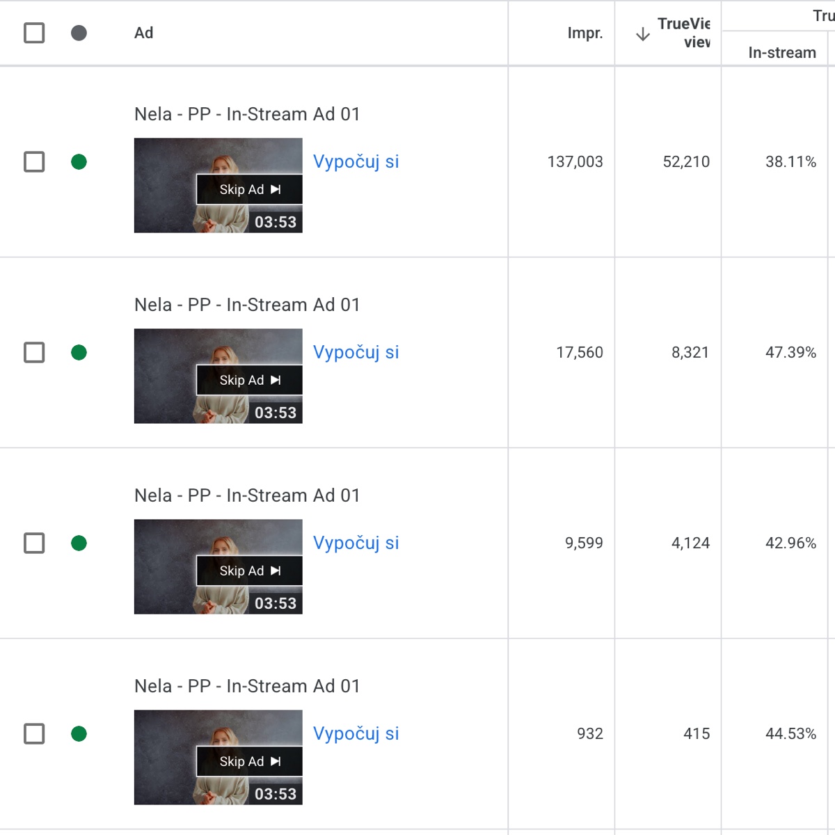 Screenshot kampane Nely Pociskovej v Google Ads